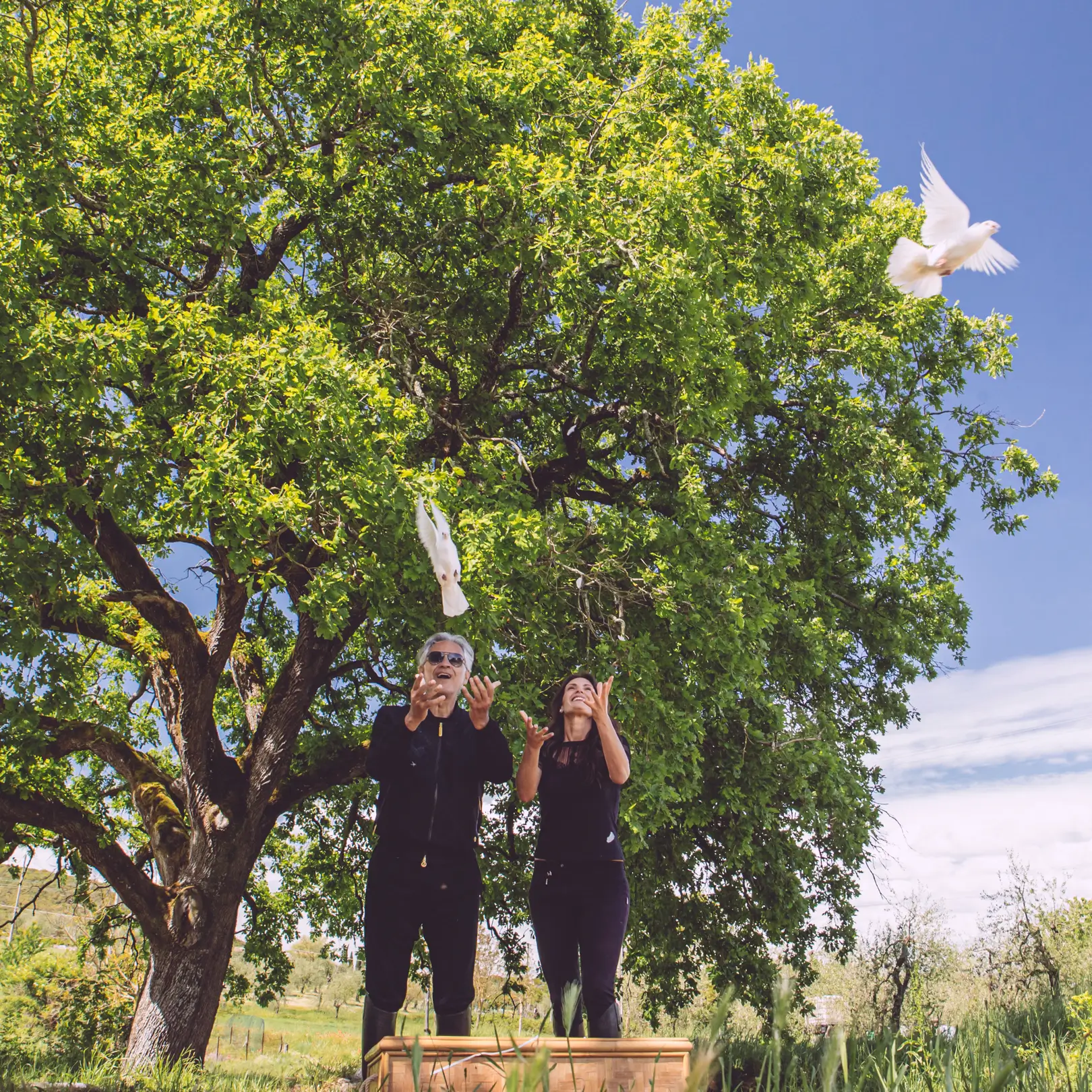 In cammino – Diary of a Pilgrim